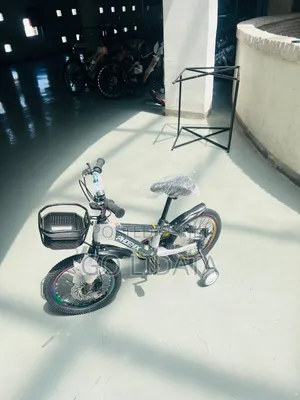 Phoenix Kids Bike for Gift — ለስጦታ የሚሆን የፎኒክስ የልጆች ብስክሌት