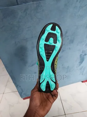 F50 Tacketa