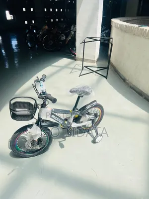 Safe and Durable Phoenix Kids Bike — አስተማማኝ እና ጠንካራ የፎኒክስ የልጆች ብስክሌት