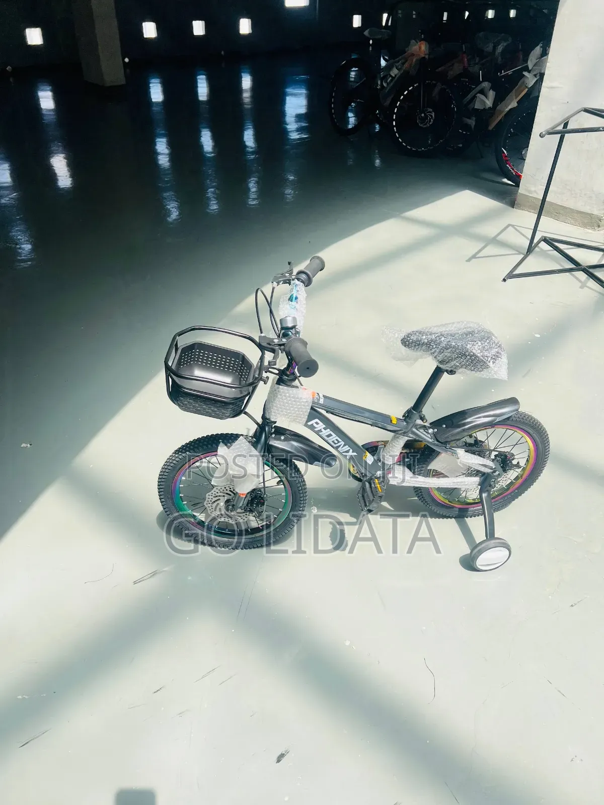 Phoenix Multi-Color Children's Bike — የፎኒክስ ባለብዙ ቀለም የህፃናት ብስክሌት