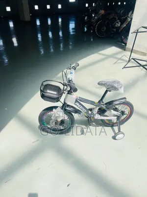 Phoenix Multi-Color Children's Bike — የፎኒክስ ባለብዙ ቀለም የህፃናት ብስክሌት