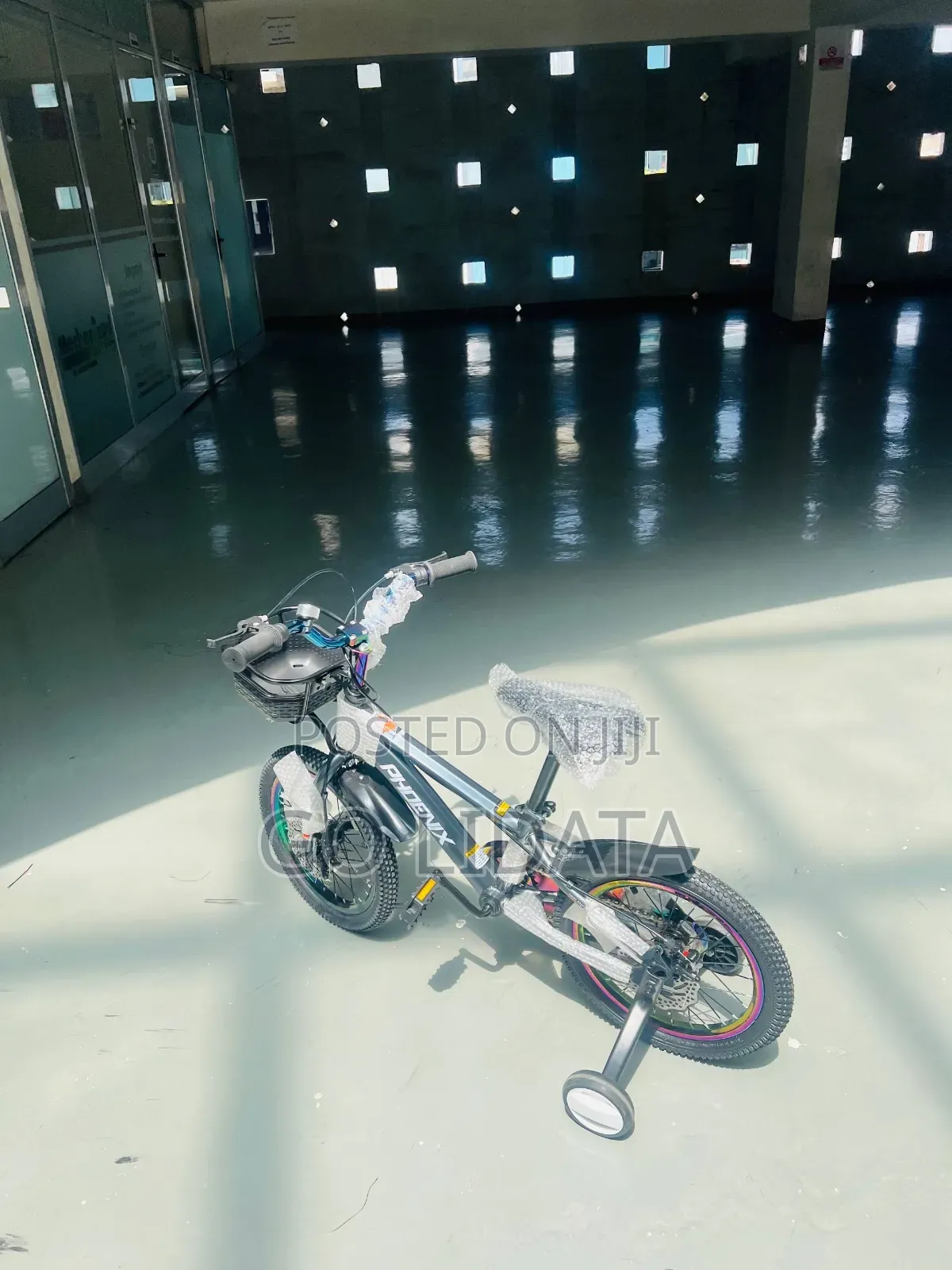 Brand New Gray Phoenix Kids Bicycle — ፍጹም አዲስ ግራጫ የፎኒክስ የልጆች ብስክሌት