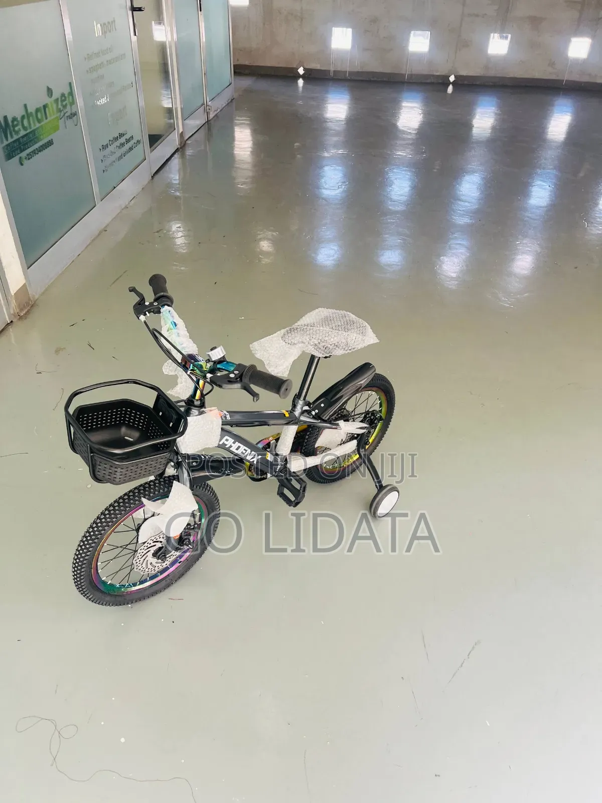 New Shiny Gray Phoenix Kids Bike — አዲስ አንጸባራቂ ግራጫ የፎኒክስ የልጆች ብስክሌት