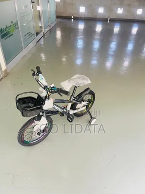 New Shiny Gray Phoenix Kids Bike — አዲስ አንጸባራቂ ግራጫ የፎኒክስ የልጆች ብስክሌት