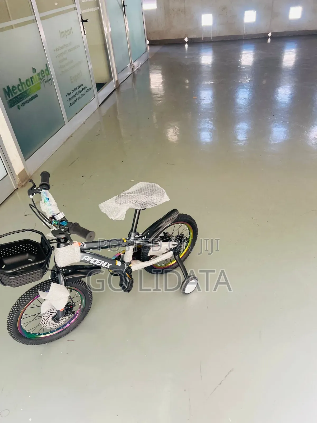 Phoenix Colorful Gray Children's Bike — የፎኒክስ ባለቀለም ግራጫ የህፃናት ብስክሌት