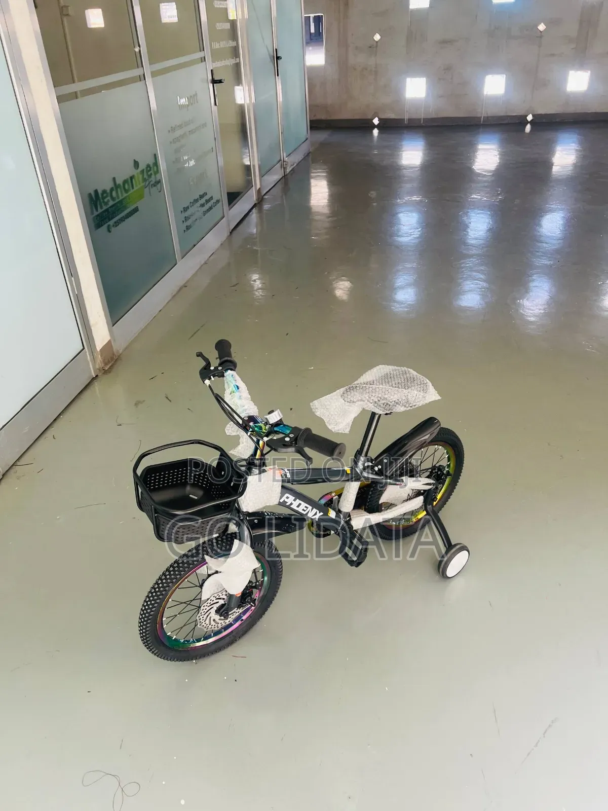 Beautiful Gray Phoenix Kids Bicycle — ውብ ግራጫ የፎኒክስ የልጆች ብስክሌት
