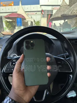 Apple iPhone 13 Pro Max 256 GB Green
