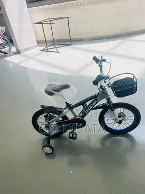 Phoenix Attractive Gray Kids Bike — ማራኪ ግራጫ የፎኒክስ የልጆች ብስክሌት