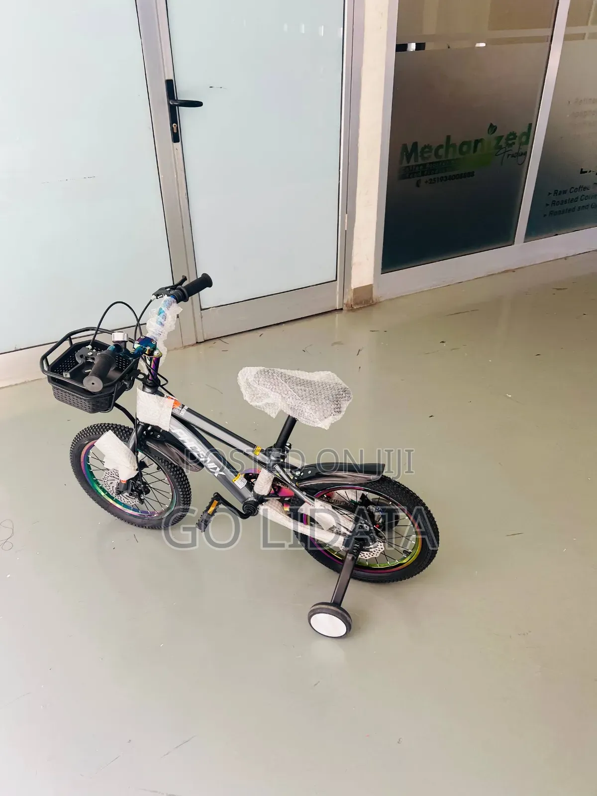 Phoenix Multi-Color Gray Kids Bike — የፎኒክስ ባለብዙ ቀለም ግራጫ የልጆች ብስክሌት