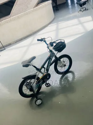Modern Gray Phoenix Kids Bike — ዘመናዊ ግራጫ የፎኒክስ የልጆች ብስክሌት