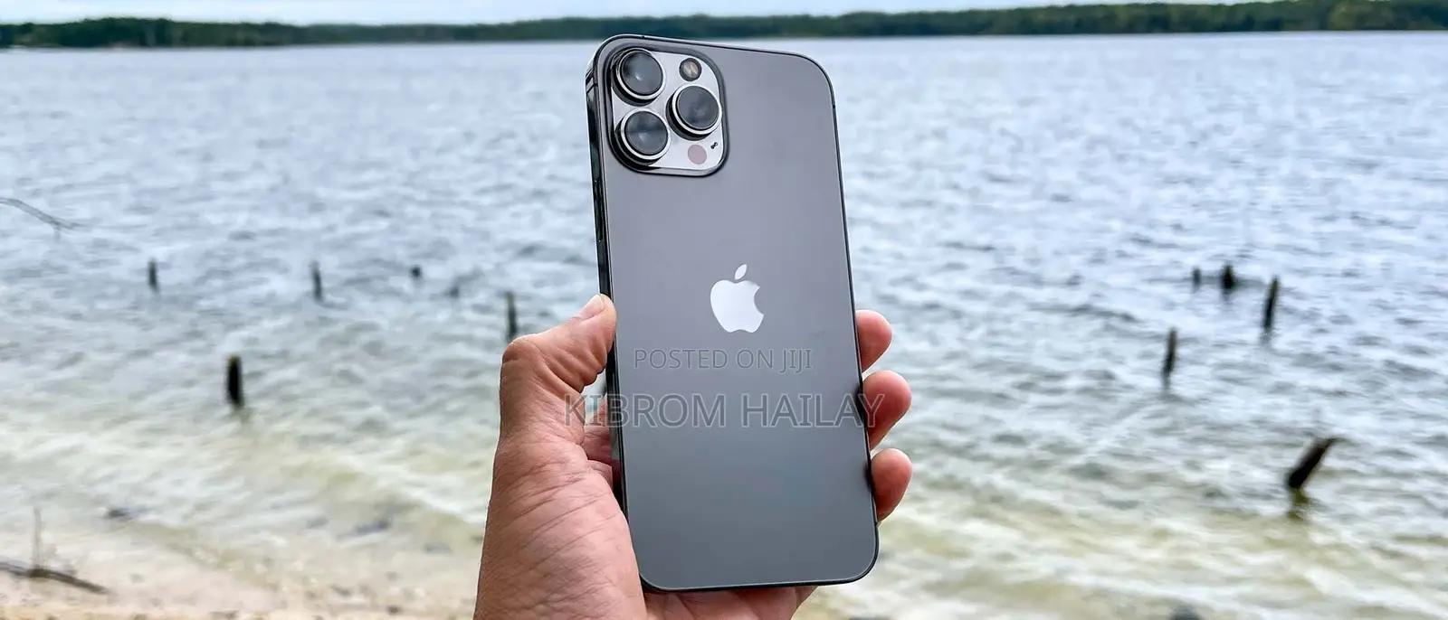 Apple iPhone 13 Pro Max 256 GB Gray