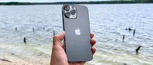 Apple iPhone 13 Pro Max 256 GB Gray