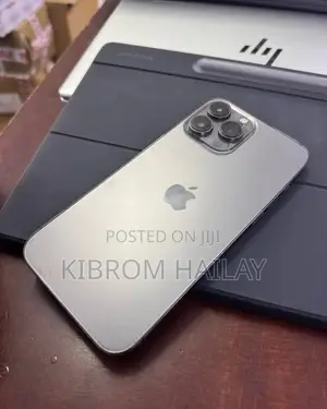 Apple iPhone 13 Pro Max 256 GB Gray