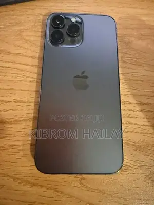Apple iPhone 13 Pro Max 256 GB Gray