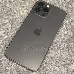 Apple iPhone 13 Pro Max 256 GB Gray