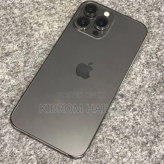 Apple iPhone 13 Pro Max 256 GB Gray