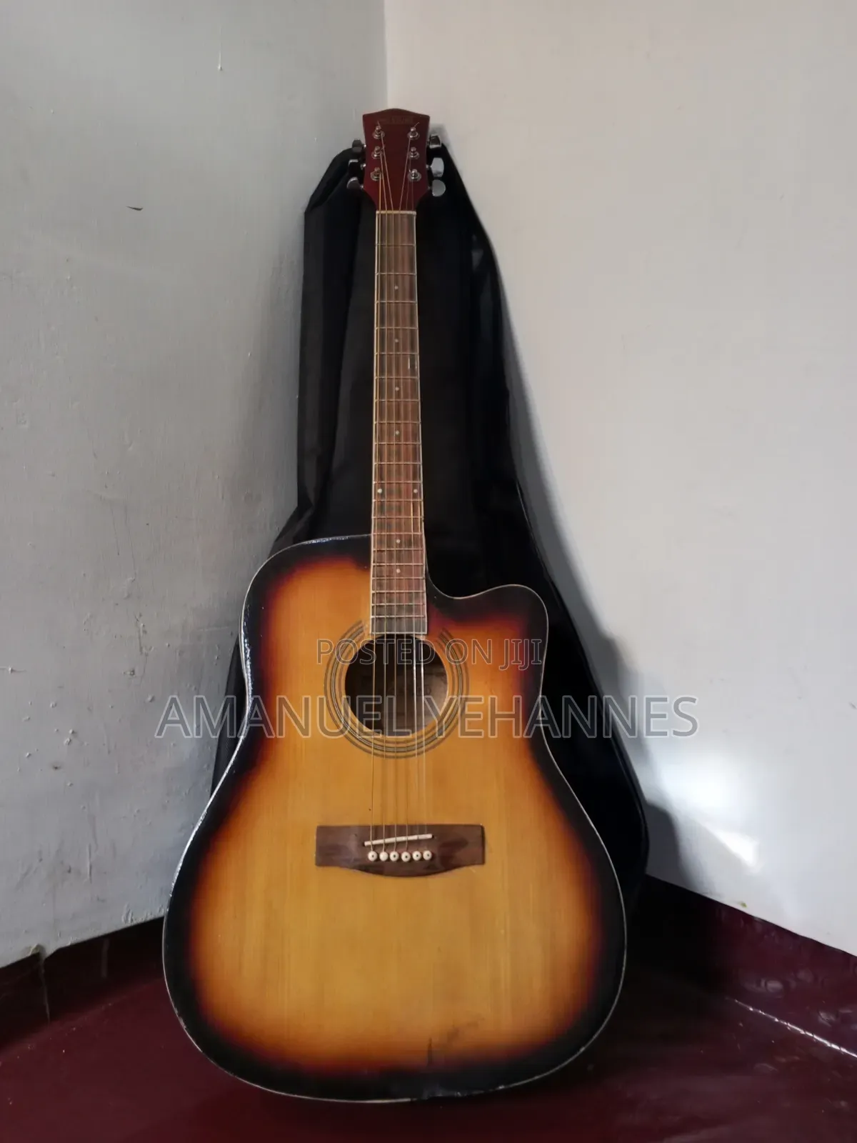Pro Sound Semi Acoustic Guitar