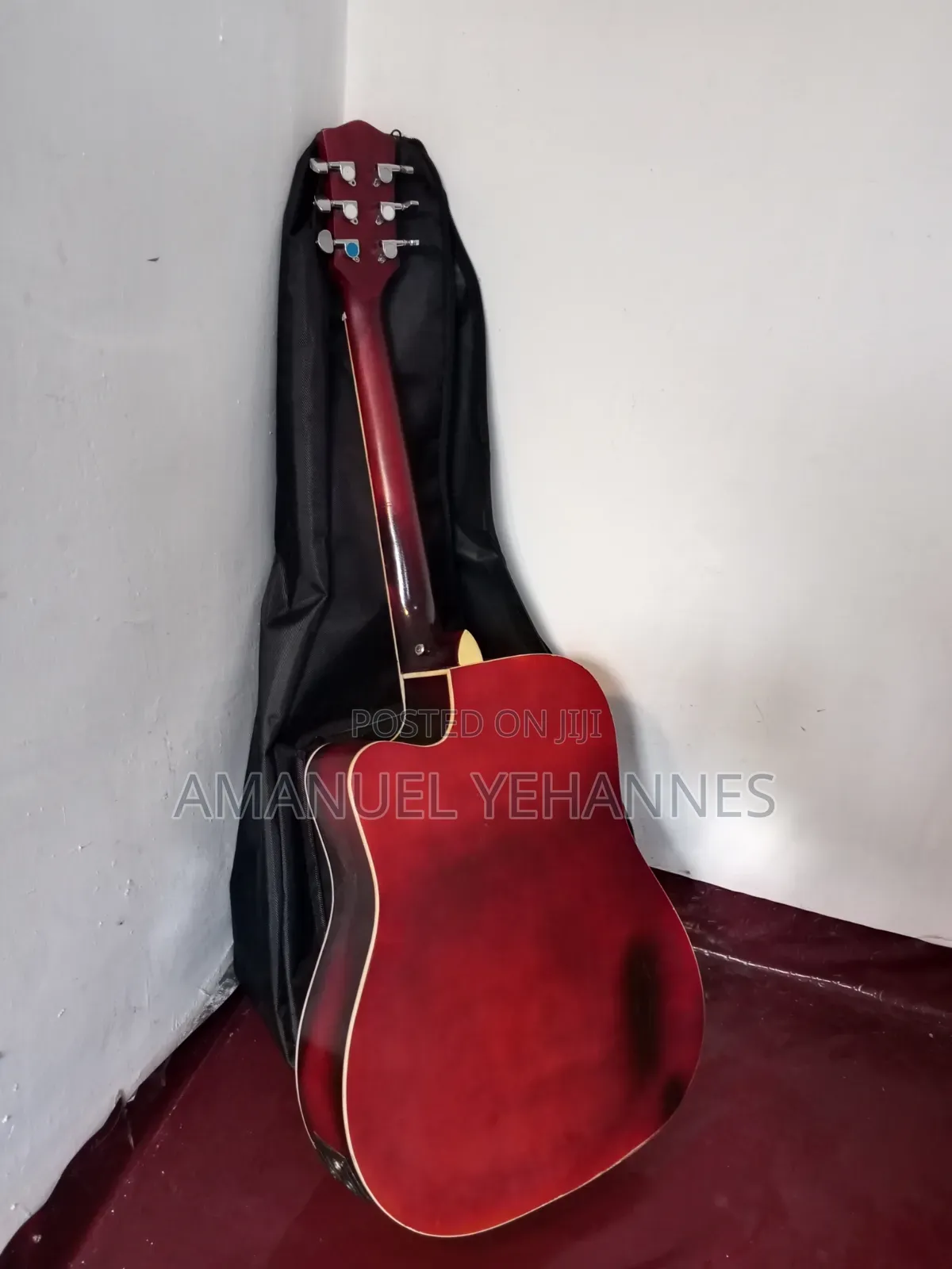 Pro Sound Semi Acoustic Guitar