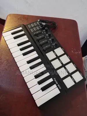 World Panda Mini Midi Keyboard Piano
