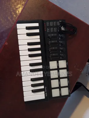 World Panda Mini Midi Keyboard Piano