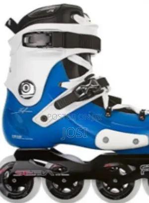 Inlien Roller Skates