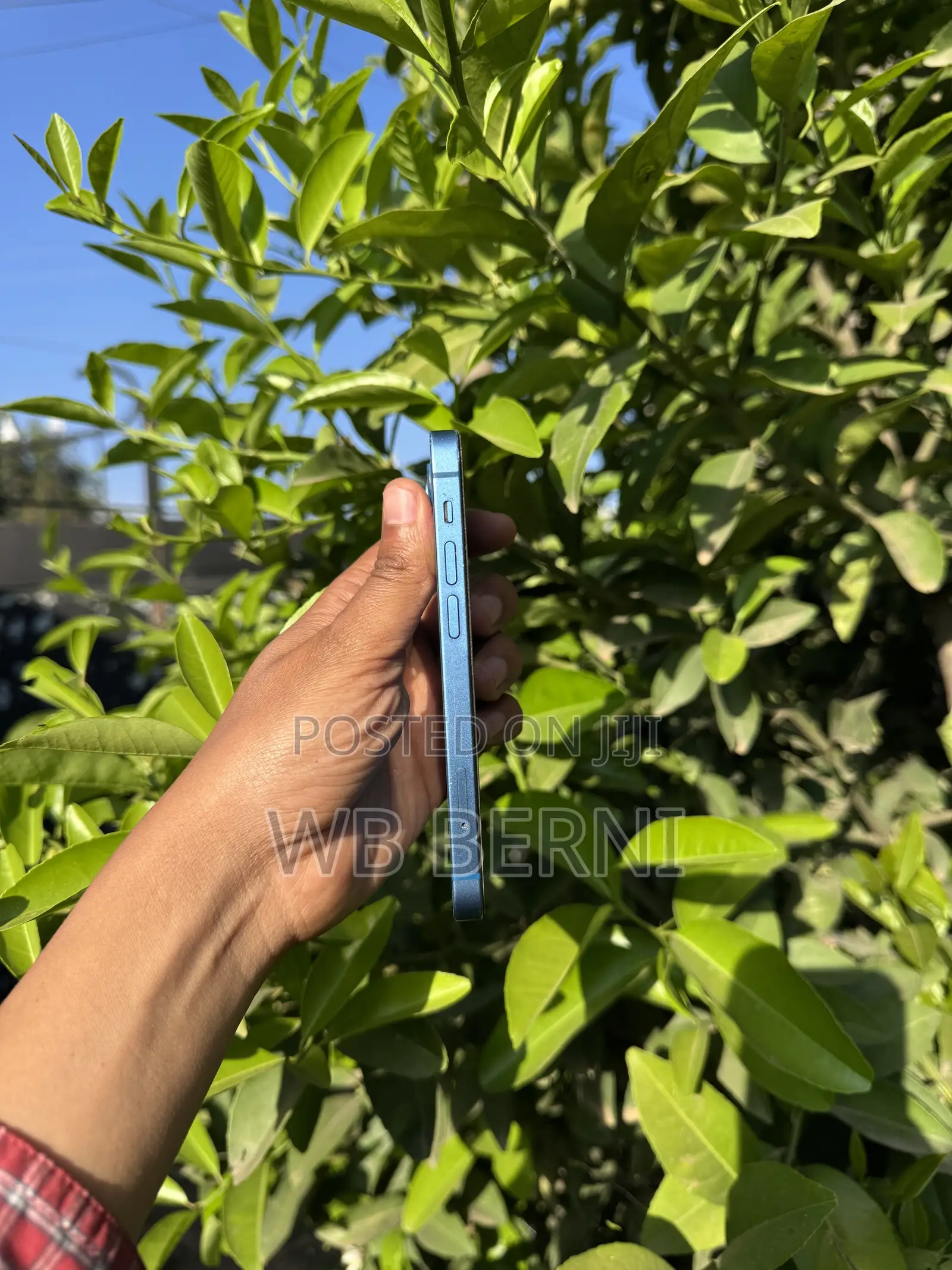 Apple iPhone 13 128 GB Green