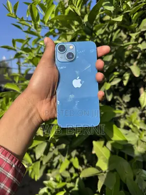 Apple iPhone 13 128 GB Green