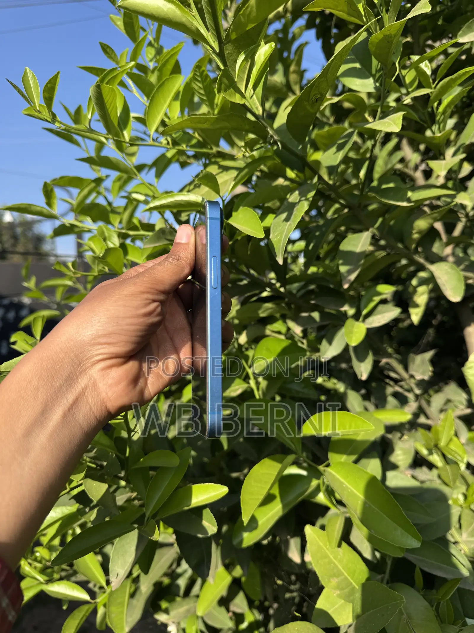 Apple iPhone 13 128 GB Green