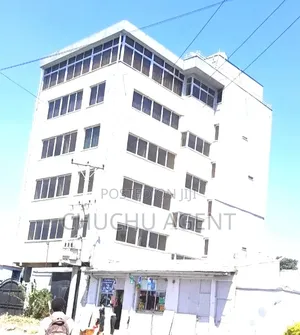 Hospital or Higher Clinic Building Rent Addis Ababa Goffa