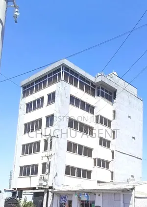 Hospital or Higher Clinic Building Rent Addis Ababa Goffa