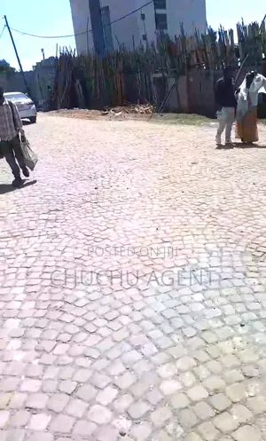 Hospital or Higher Clinic Building Rent Addis Ababa Goffa