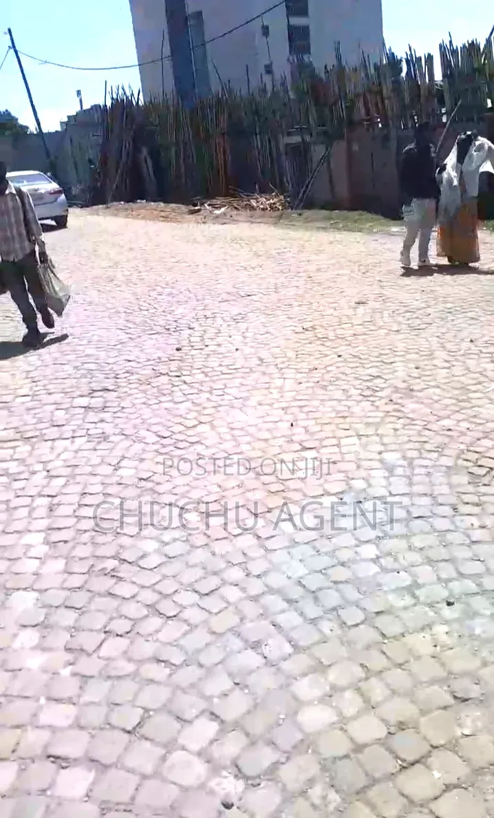 Hospital or Higher Clinic Building Rent Addis Ababa Goffa
