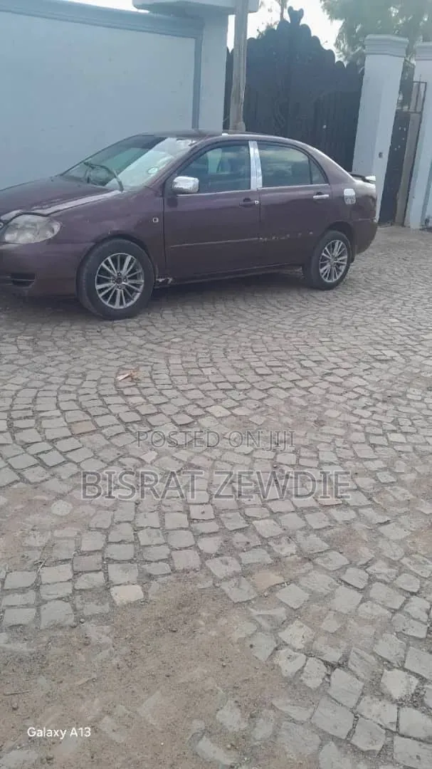 Toyota Corolla 2003 Purple