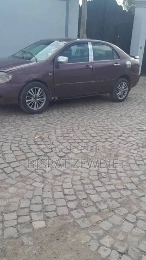 Toyota Corolla 2003 Purple