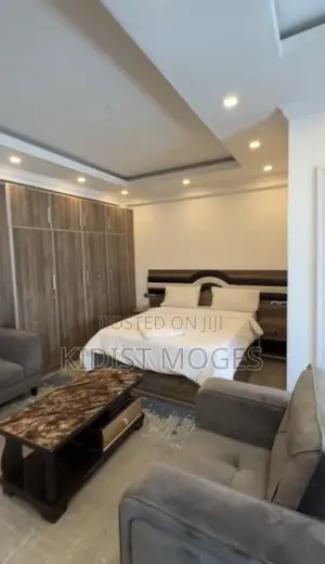Furnished 1bdrm Apartment in Lideta for rent