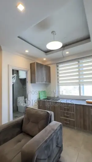 Furnished 1bdrm Apartment in Lideta for rent