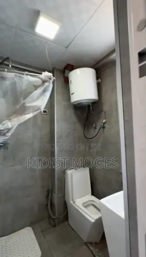 Furnished 1bdrm Apartment in Lideta for rent
