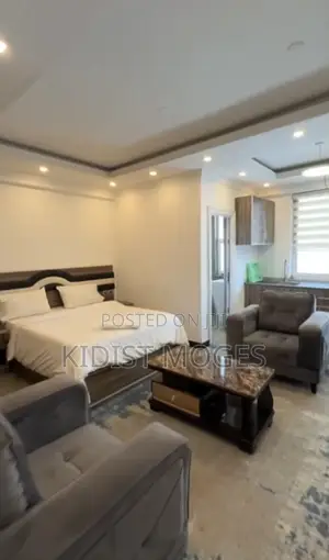 Furnished 1bdrm Apartment in Lideta for rent