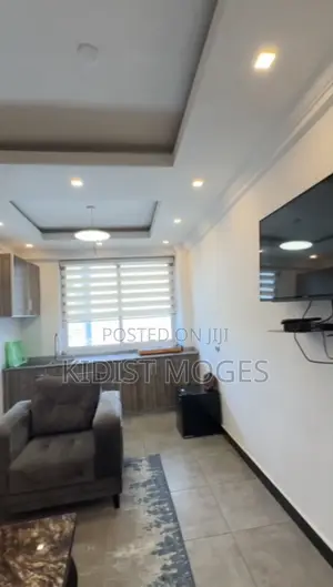 Furnished 1bdrm Apartment in Lideta for rent