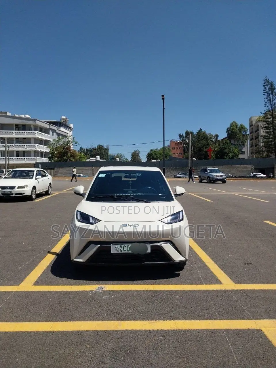 BYD Seagull 2025 Gray