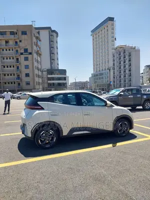 BYD Seagull 2025 Gray