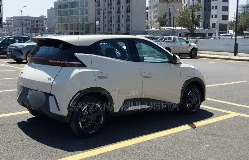 BYD Seagull 2025 Gray