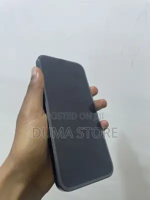 Apple iPhone 15 Pro Max 512 GB Silver