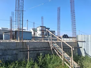 6bdrm Farm House in Oromia-Finfinne for sale