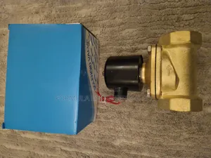 Solenoid Valve, Size: 2 Inch