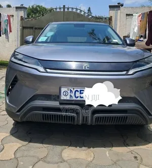 BYD Yuan Up 2024 Gray