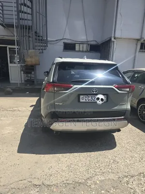 Toyota RAV4 2023 Gray