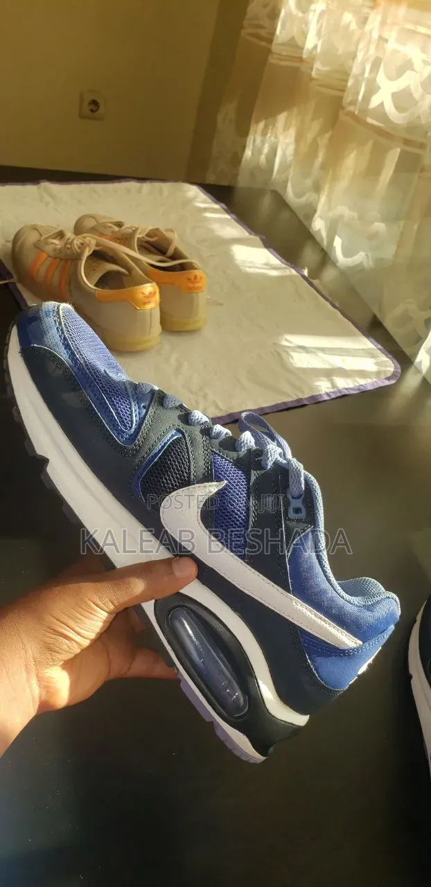 Air Max Shoes