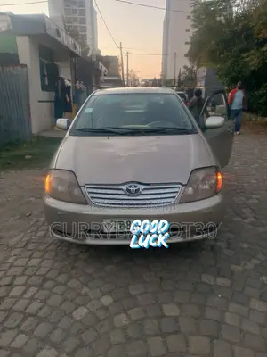 Toyota Corolla 2003 Gray
