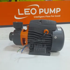 Leo 0.5 HP Pumpe